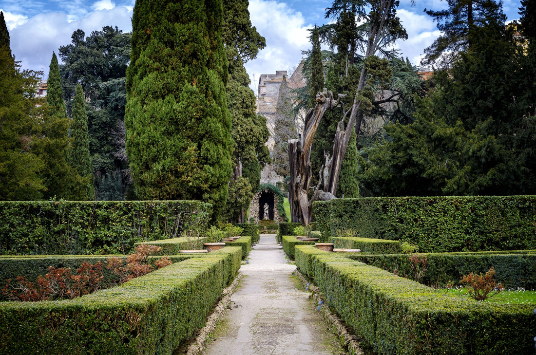 How to Spend 4 Days in Rome: The Ultimate 2025 Travel Itinerary