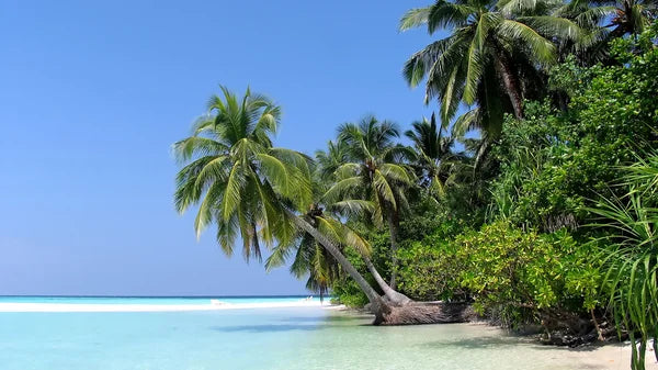 Resort Review: Sun Siyam Olhuveli in Maldives